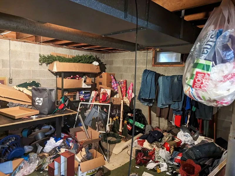 Basement cleanout